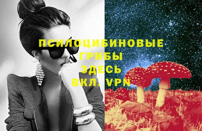 сколько стоит  Менделеевск  Псилоцибиновые грибы Magic Shrooms 